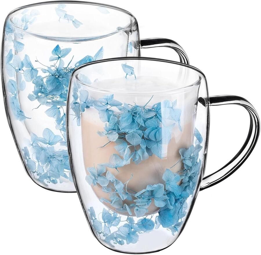 Dubbelwandige koffieglazen 350 ml set van 2 thermoglazen voor thee en koffie theeglazen van borosilicaatglas koffiebeker met gedroogde bloemen theekop (blauw)