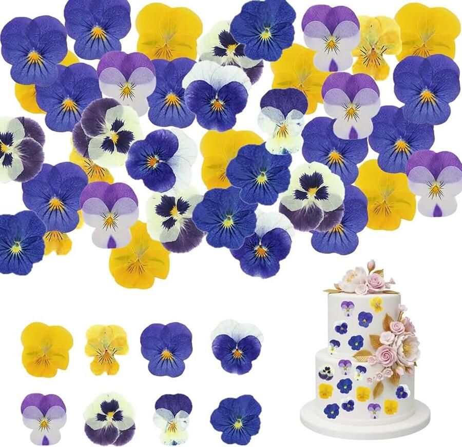 Eetbare bloemen voor het versieren van taarten gedroogd en geperst – kleurrijk assortiment van Viola tricolor-viooltjes voor cocktails en cupcakes