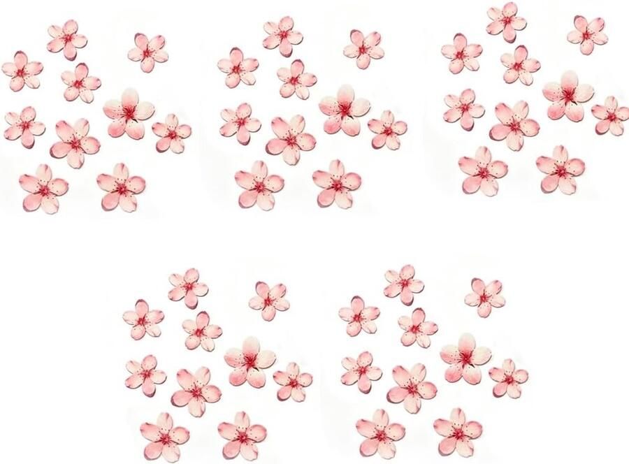 Eetbare Kersenbloesem-taartdecoraties – Roze eetbare bloemen voor taarten bloemen van ouwelpapier voor taartdecoratie suikervrije taarttoppers voor verjaardagen bruiloften