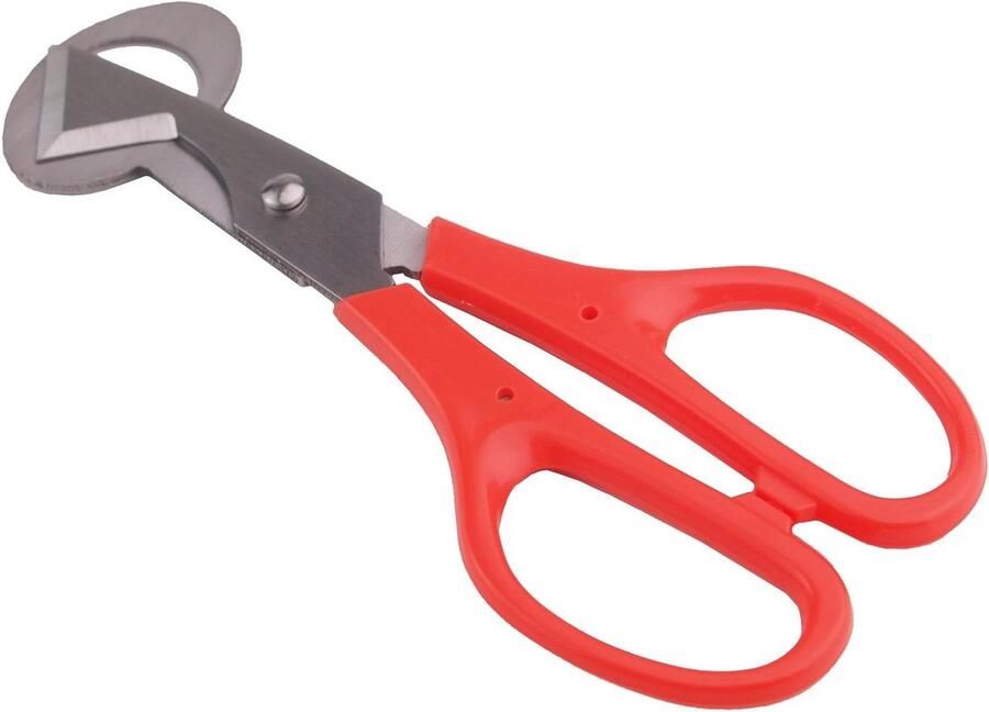 Eierdopje Kwartel Eierhouder Ontbijt Serveren Pewter Materiaal 148 x 87 x 1 cm Rood