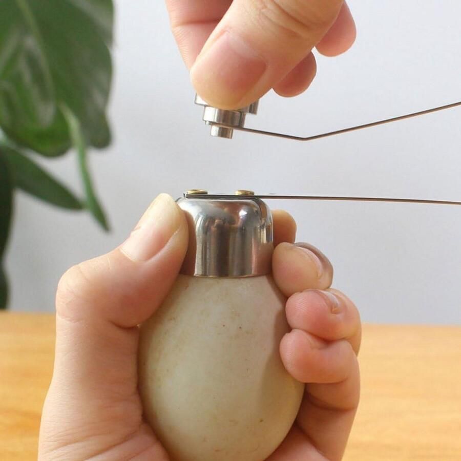 Eieren Kraker Topper RVS Eierschaal Openaar voor Zacht en Hardgekookte Eieren