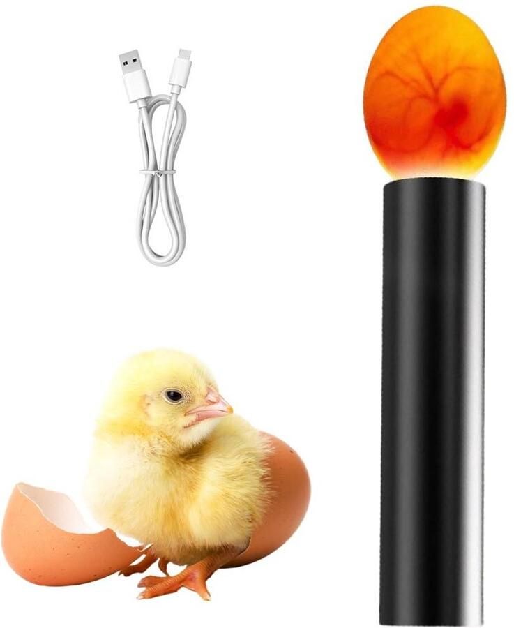 Eierlamp Incubatiehulpmiddel Eierontwikkeling Controleren Koud LED Licht 10 x 4 x 2.5 cm Zwart