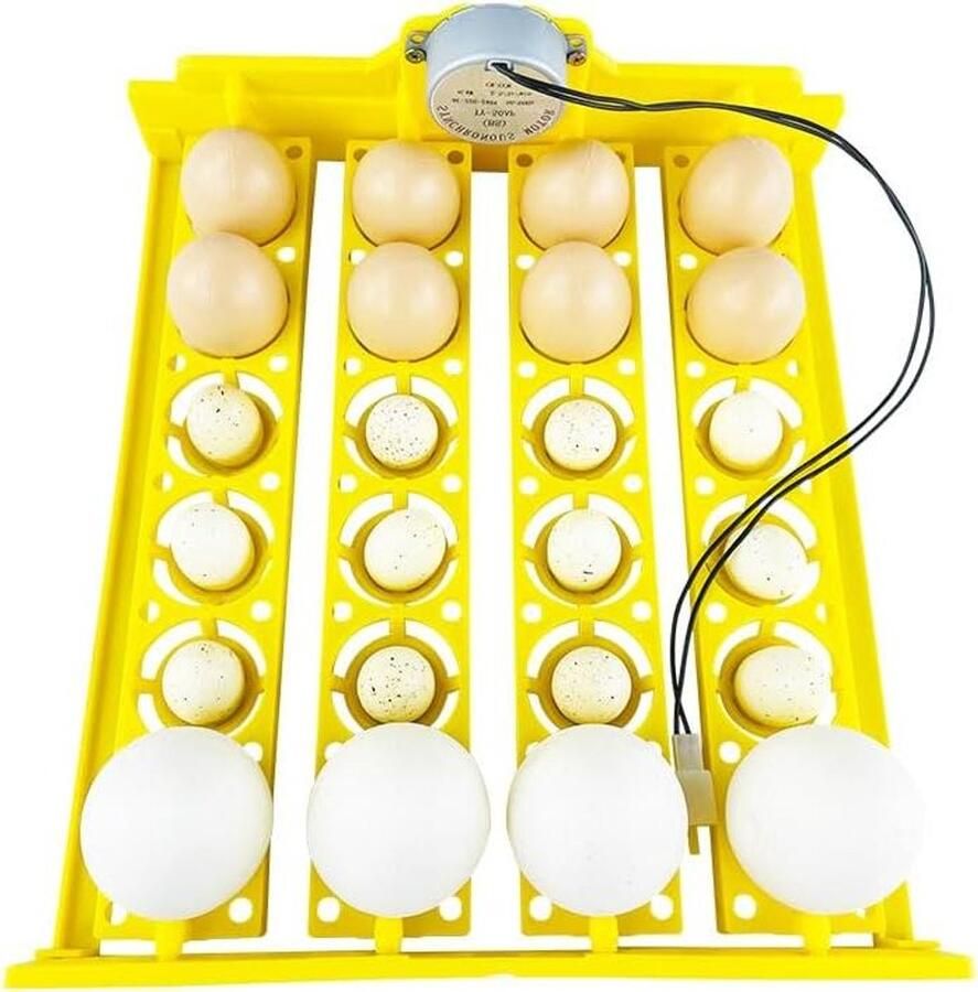 Eierrekjes Eierdozen Eieren Opslaan Verhoogde Capaciteit 42 x 29 x 12 cm Zwart