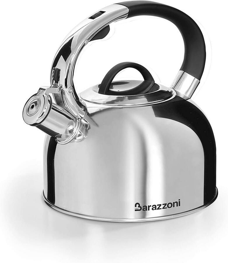 Elegante Waterkoker van Gepolijst Roestvrij Staal