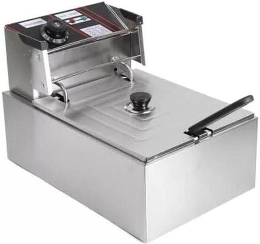 Elektrische Frituurpan Compacte Frituur Lekkere Snacks RVS Constructie 2500 W Zilver