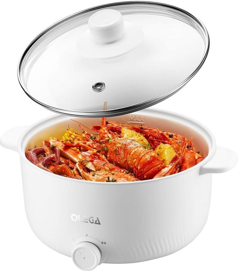 Elektrische Hot Pot 3L Draagbare Multifunctionele Kookpan voor Fondue Shabu en Meer