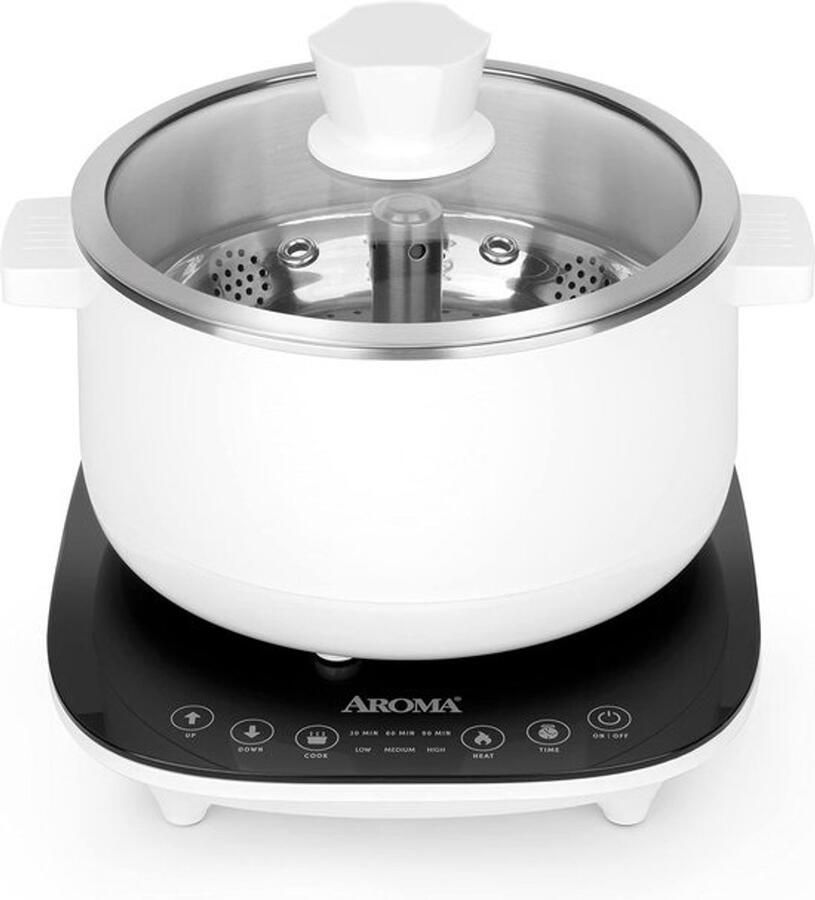 Elektrische Slow Cooker & Snelkookpan 2 5L met Automatische RVS Lifthendel