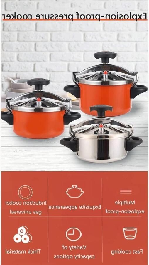 Elektrische Snelkookpan Universele Pot Snel Koken Veilig en Gemakkelijk 2 Liter Zilver