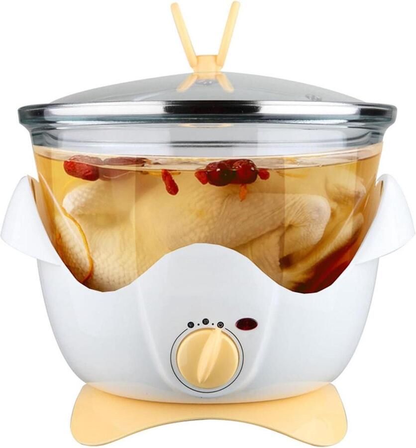 Elektrische Stoofpot Gezondheidskoker Soeppan Gezond Koken Uniforme Verwarming 4.5L Capaciteit Transparent
