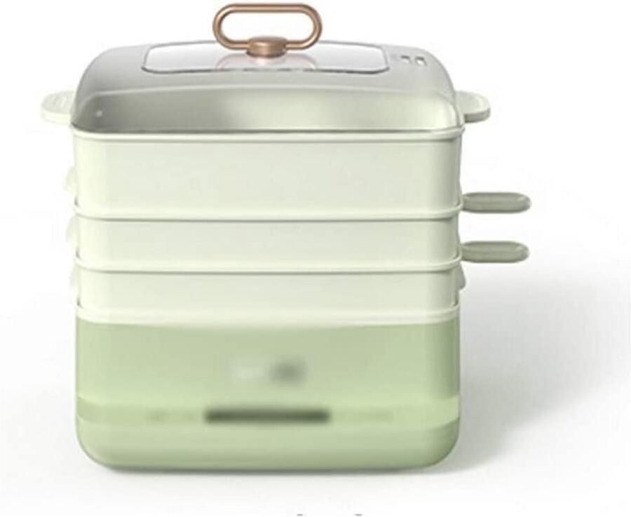 Elektrische Stoomkoker Keukenapparaat Gezond Koken RVS Stoompan 8 Liter Capaciteit Zilverkleurig
