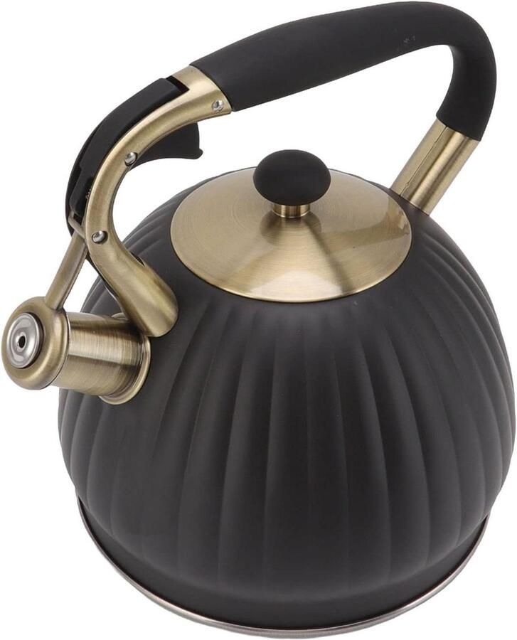 Fluitende Theeketel Waterketel Fornuis Snel Water Koken Roestvrij Staal 35 Liter Zilver
