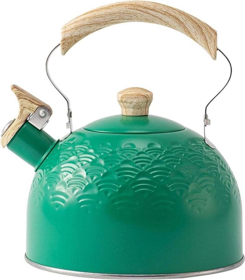 Fluitende theeketel Waterketel kookplaat Water Koken Luide fluittoon 25 liter Mintgroen