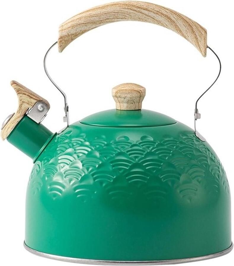 Fluitende theeketel Waterketel voor kookplaat Water koken Luide fluittoon 25 liter Mintgroen