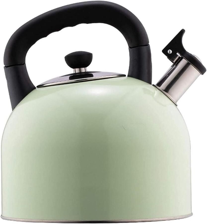 Fluitende Theeketel Waterkoker Fornuis Water Koken Hittebestendige Handgreep 5 Liter Lichtgroen