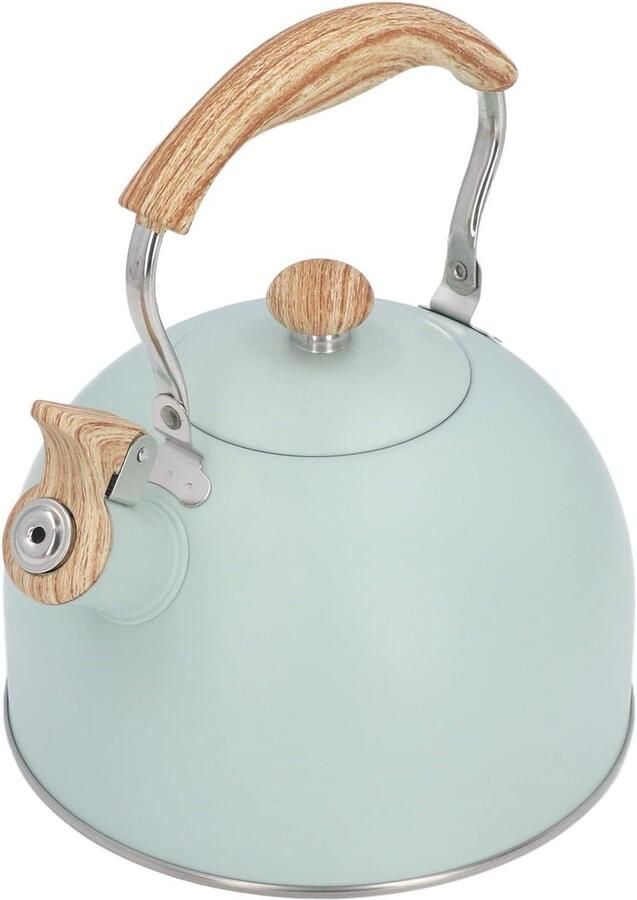 Fluitende Theeketel Waterkoker RVS Koffie en Thee Grote Capaciteit 2.5 Liter Groen