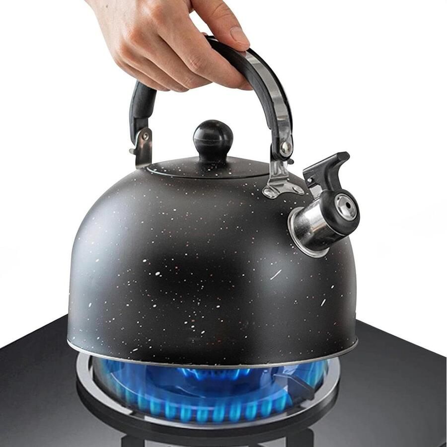 Fluitende Theeketel Waterkoker RVS Water Koken Luid Fluit Signaal 2.5 Liter Zwart