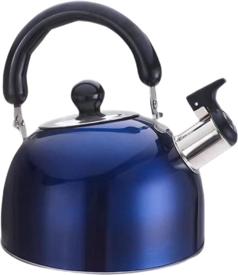 Fluitende Theeketel Waterkoker Theepot Koken Water Ergonomisch Handvat 1 Liter Blauw