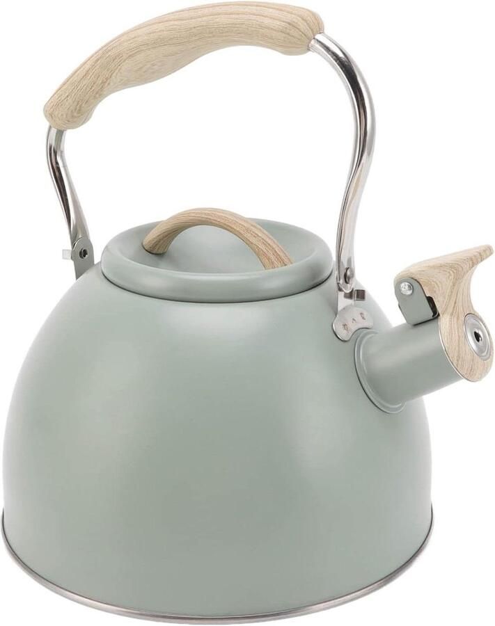 Fluitende Theepot Waterketel Fornuis Water Koken Roestvrij Staal 3L Lichtgroen