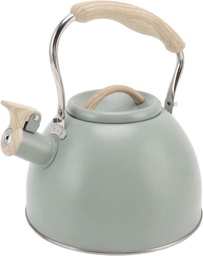 Fluitende Theepot Waterketel Water Koken Grote Capaciteit 3L Lichtgroen