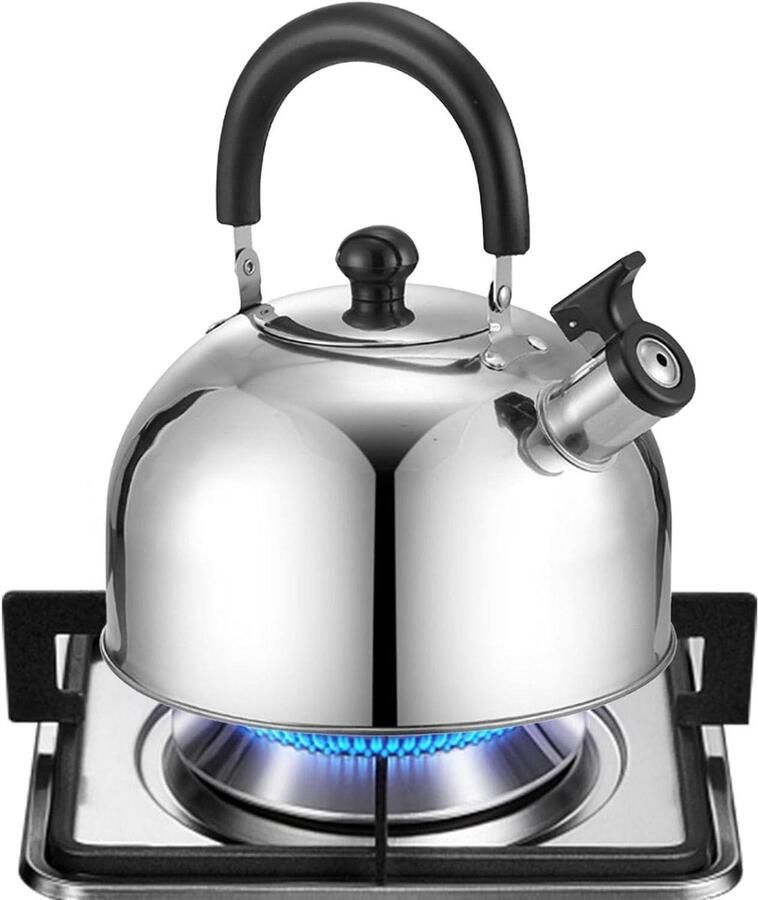 Fluitende Waterkoker Theeketel Kookplaat Water Koken Roestvrij Staal Constructie 3 Liter Multicolour