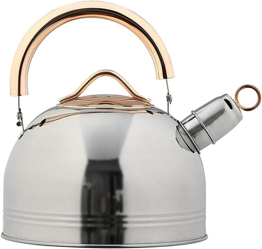 Fluitende Waterkoker Theeketel RVS Water Koken Verbrandingsbeveiliging 3L Zilver