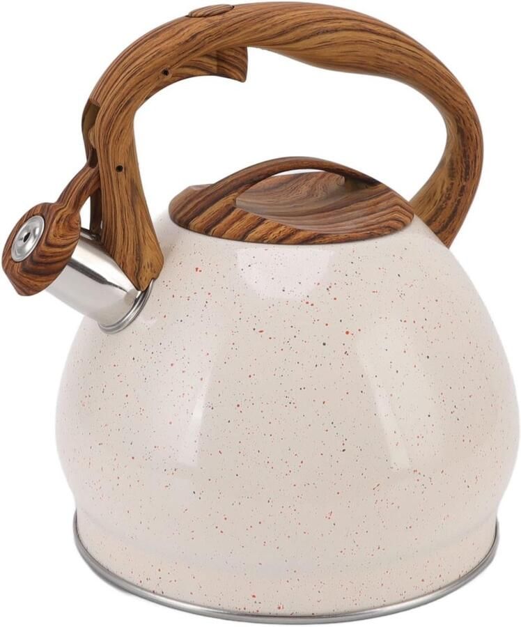 Fluitende Waterkoker Theepot Fornuis Water Koken Roestvrij Staal 3 Liter Zilver