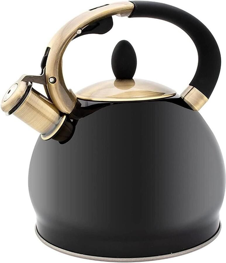 Fluitende Waterkoker Theepot Kookplaat Water Koken Luid Geluid 3 Liter Zwart