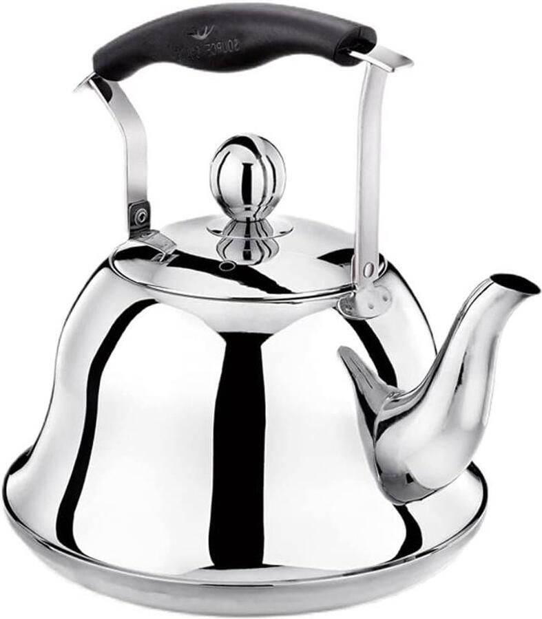 Fluitende Waterkoker Waterketel Theepot Water Koken Roestvrij Staal 3L Zilver