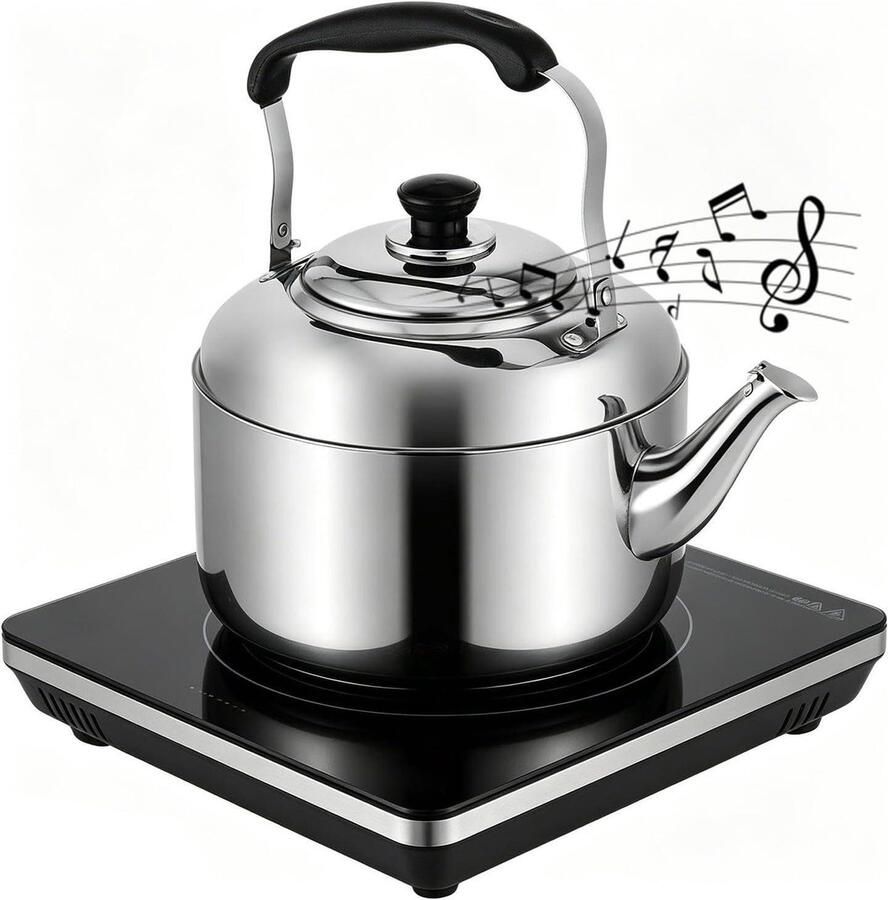 Fluitende Theeketel Waterkoker Fornuis Water Koken Automatische Fluitfunctie 3 Liter Zilver