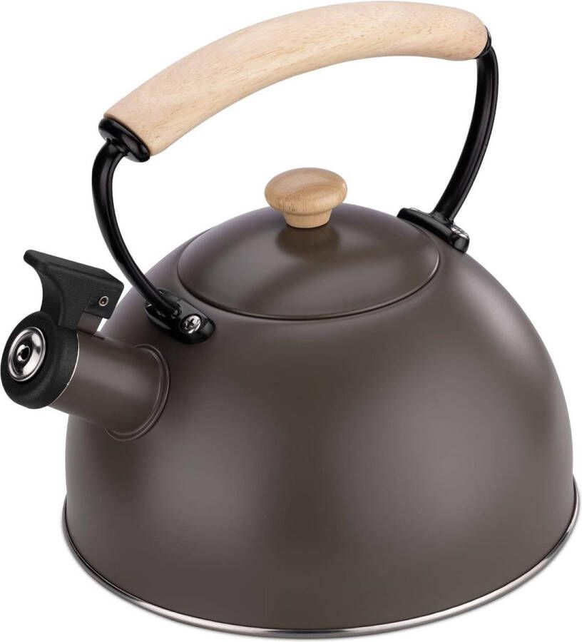Fluitketel 23 l RVS-Bronskleurig Waterkoker voor thuis kantoor en op reis Alle warmtebronnen behalve gasfornuis Theeketel met handvat