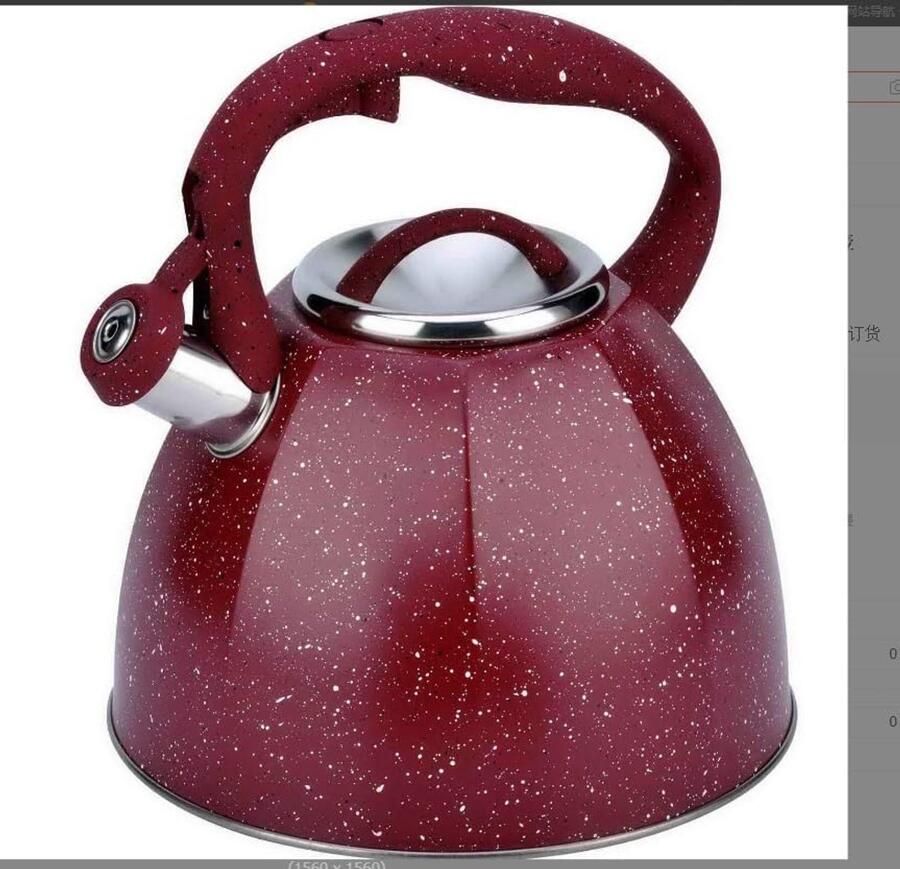 Fluitketel 3 Liter Waterketel Theepot Water Koken Roestvrij Staal Grote Capaciteit