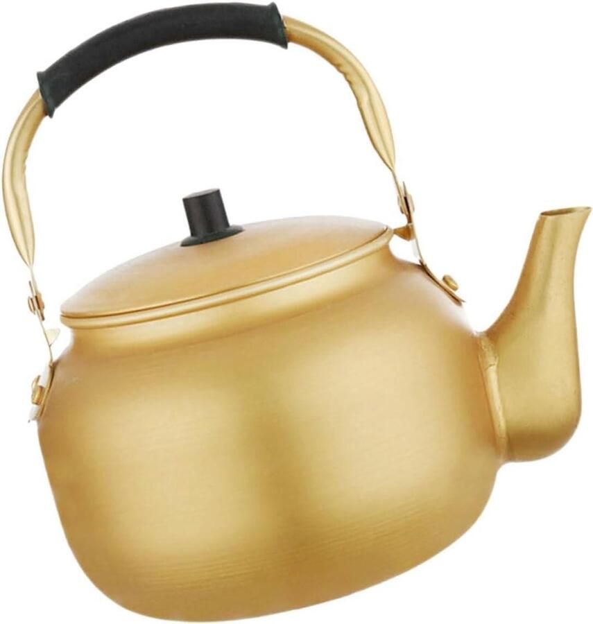 Kookplaat Ketel Theepot Waterkoker Water Koken Luid Fluit Signaal 6L Capaciteit Zilverkleurig