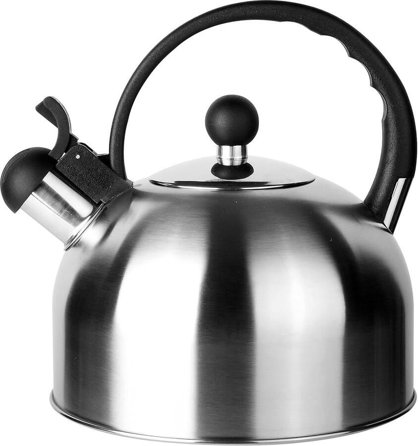 Fluitketel Inductie 2 5 L Inox Theepotten voor Fornuis Gasketel Hittebestendige Handgreep Alle Vuurbronnen Dus Inductie Theepot met Pijp voor Inox