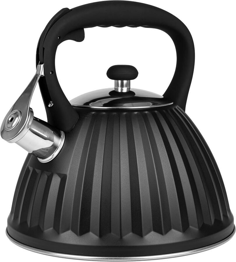 Fluitketel Inductie Waterketel RVS Snel Water Koken Handgreep Koel 3 Liter Inhoud Zilverkleurig