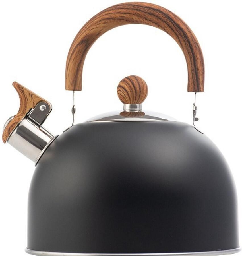 Fluitketel inductie Waterkoker camping Waterkoker met grote capaciteit Waterkoker retro Waterkoker zwart Roestvrij staal