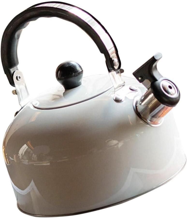 Fluitketel Klein Waterkoker RVS Snel Water Koken Automatisch Fluitend 3 Liter Wit