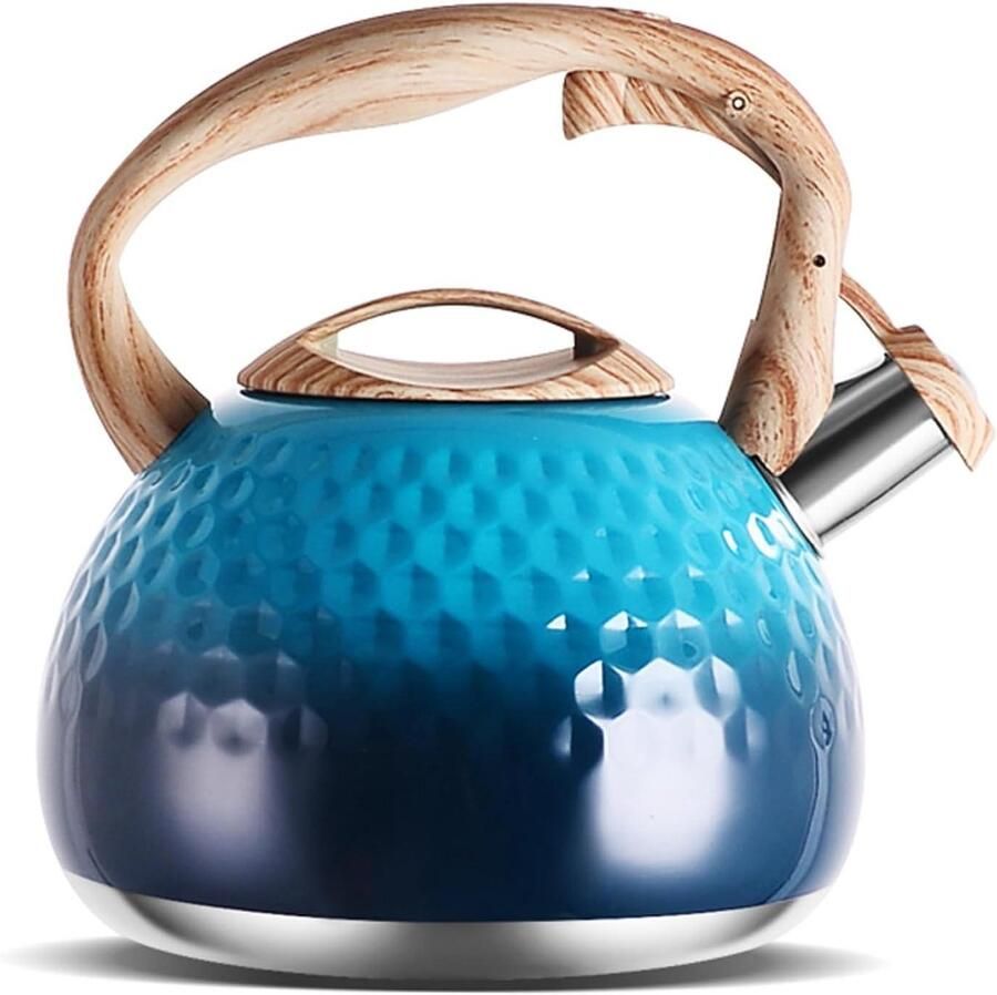 Fluitketel Roestvrij Staal Theeketel Waterkoker Water Koken One-Touch Schakelaar 3L Blauw