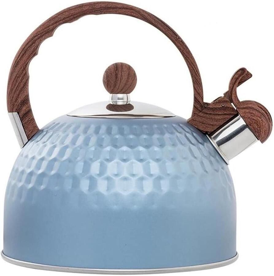 Fluitketel Roestvrij Staal Theepot Waterkoker Water Koken Luid Waarschuwingsfluitje 2.5L Zilver