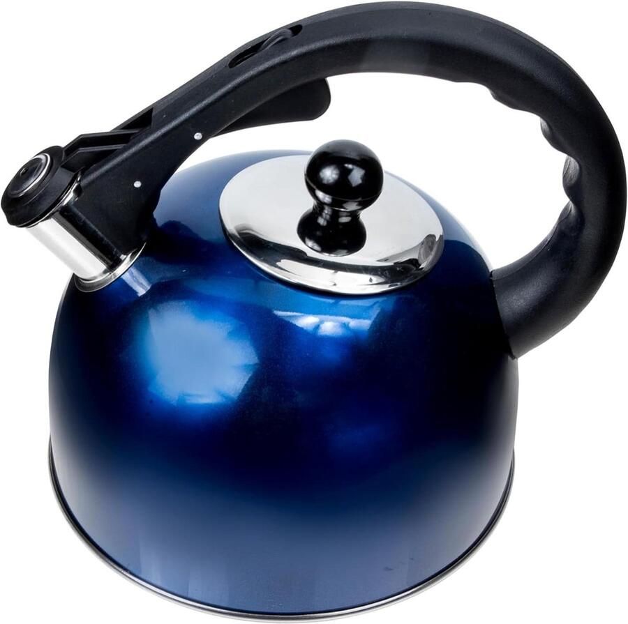 Fluitketel Roestvrij Staal Theepot Waterkoker Koffie en Thee Zetten Snelle Verwarming Inductie