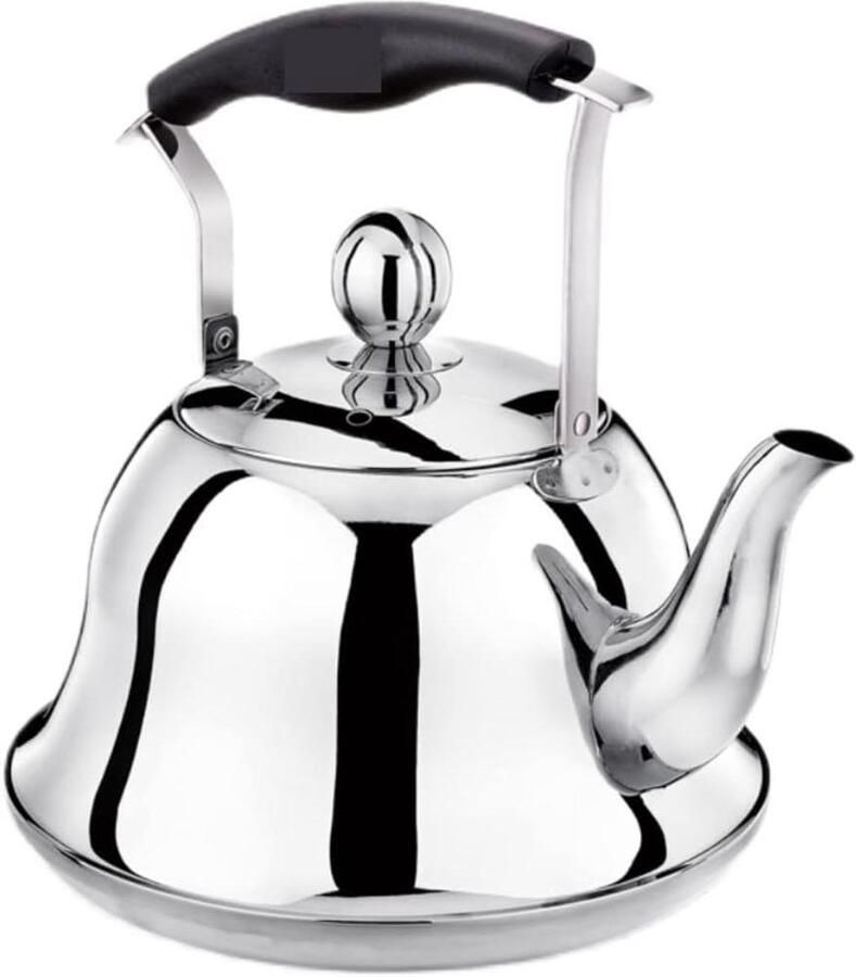 Waterkoker Met Fluit Theepot Koken Water Koken Roestvrij Staal 5 Liter Blauw Zilver