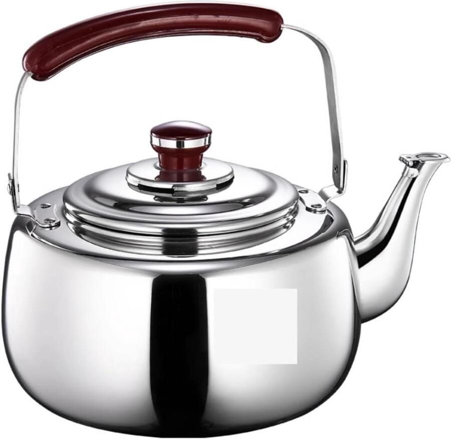 Waterkoker RVS Theepot Fluitketel Snel Water Koken Hittebestendig Handvat 6 Liter Zilverkleurig