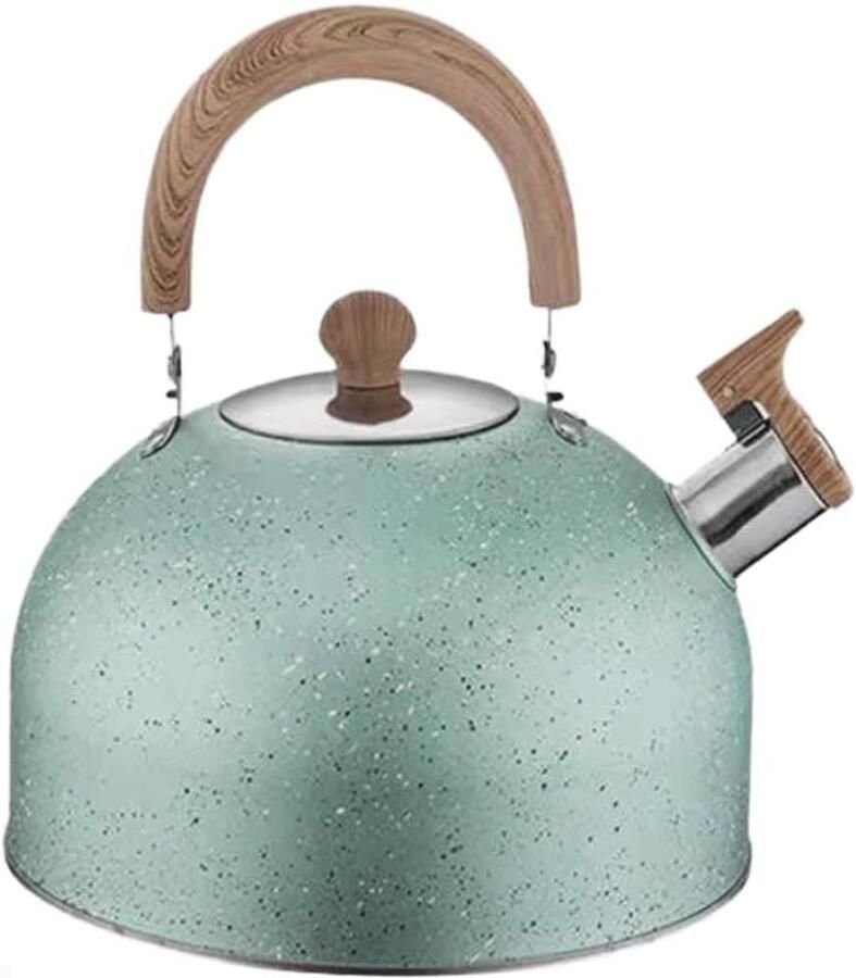 Fluitketel Roestvrij Staal Waterketel Theepot Water Koken Gehamerd Ontwerp 3L Groen