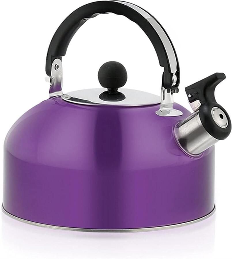 Fluitketel Roestvrij Staal Waterketel Theepot Water Koken Hittebestendig Handvat 3L Paars
