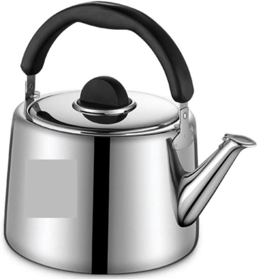 Fluitketel Roestvrij Staal Waterkoker Theepot Thee Zetten Speciaal Behandeld 3L Zilver