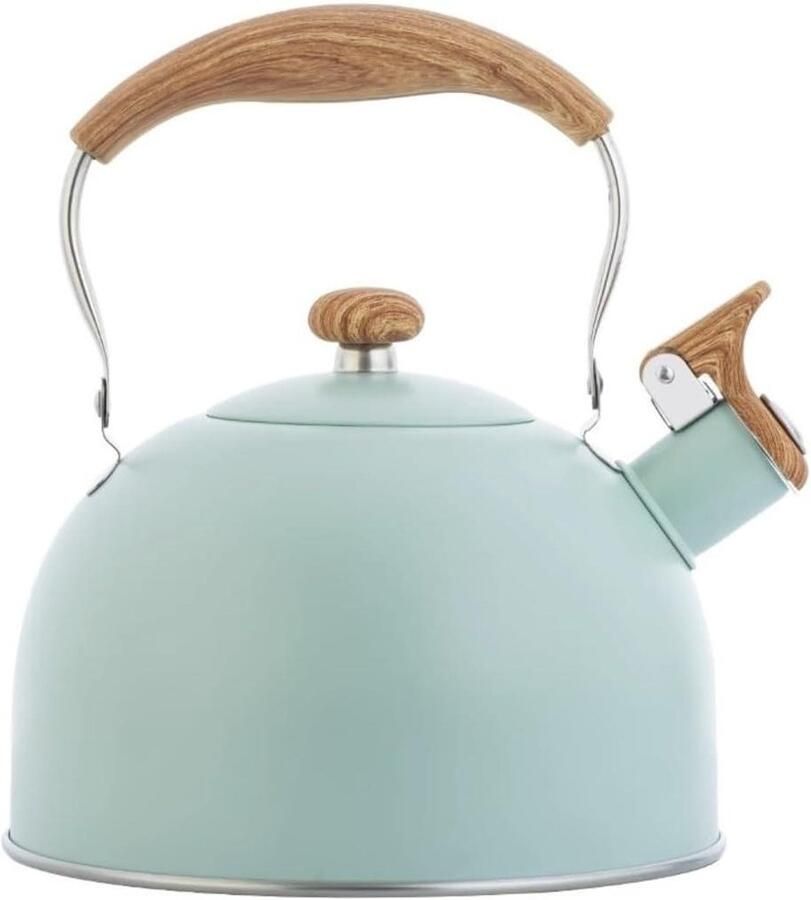 Fluitketel Roestvrij Staal Waterkoker Theepot Water Koken Ingebouwd Luid Fluitje 2.5L Zilver