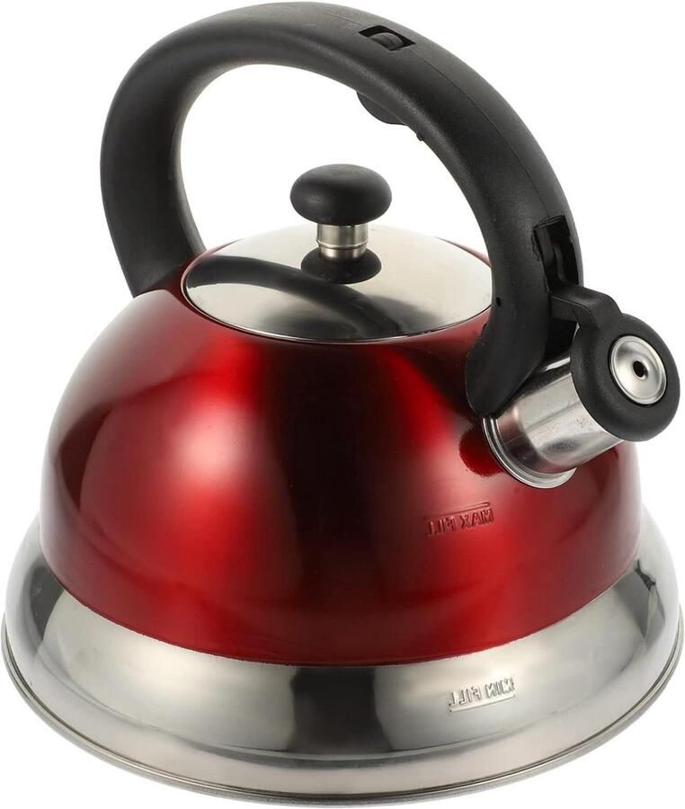 Fluitketel Roestvrijstaal Waterkoker Theepot Water Koken Luid Fluitend Geluid 22.5X22.5X22CM Zilver