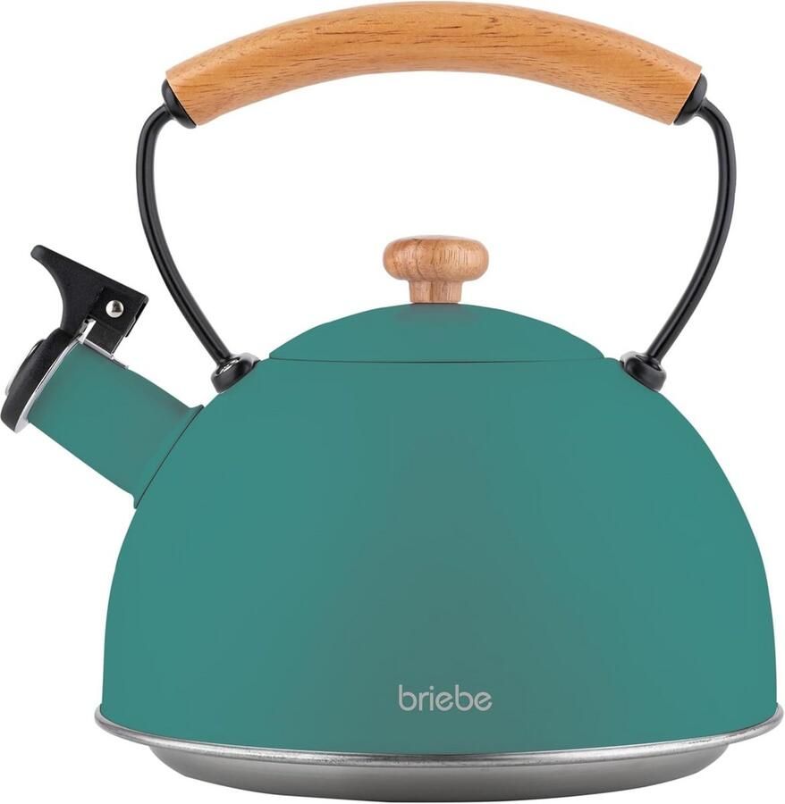 Waterkoker met fluitje Theepot keuken Koffie en thee Nordic design 2.3 Liter Groen