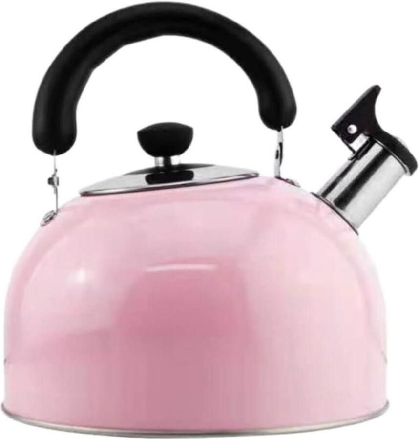 Fluitketel RVS Theepot Waterkoker Water Koken Gelijkmatige Warmteverdeling 3L Roze