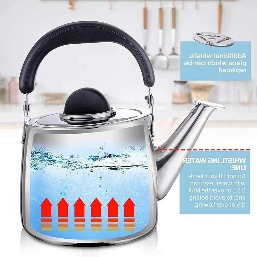 Fluitketel RVS Theepot Waterkoker Water Koken Hittebestendig Handvat 6L Zilver