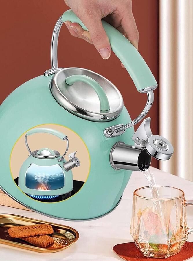 Fluitketel RVS Theepot Waterkoker Water Koken Met Fluitfunctie 2.5 Liter Zilverkleurig